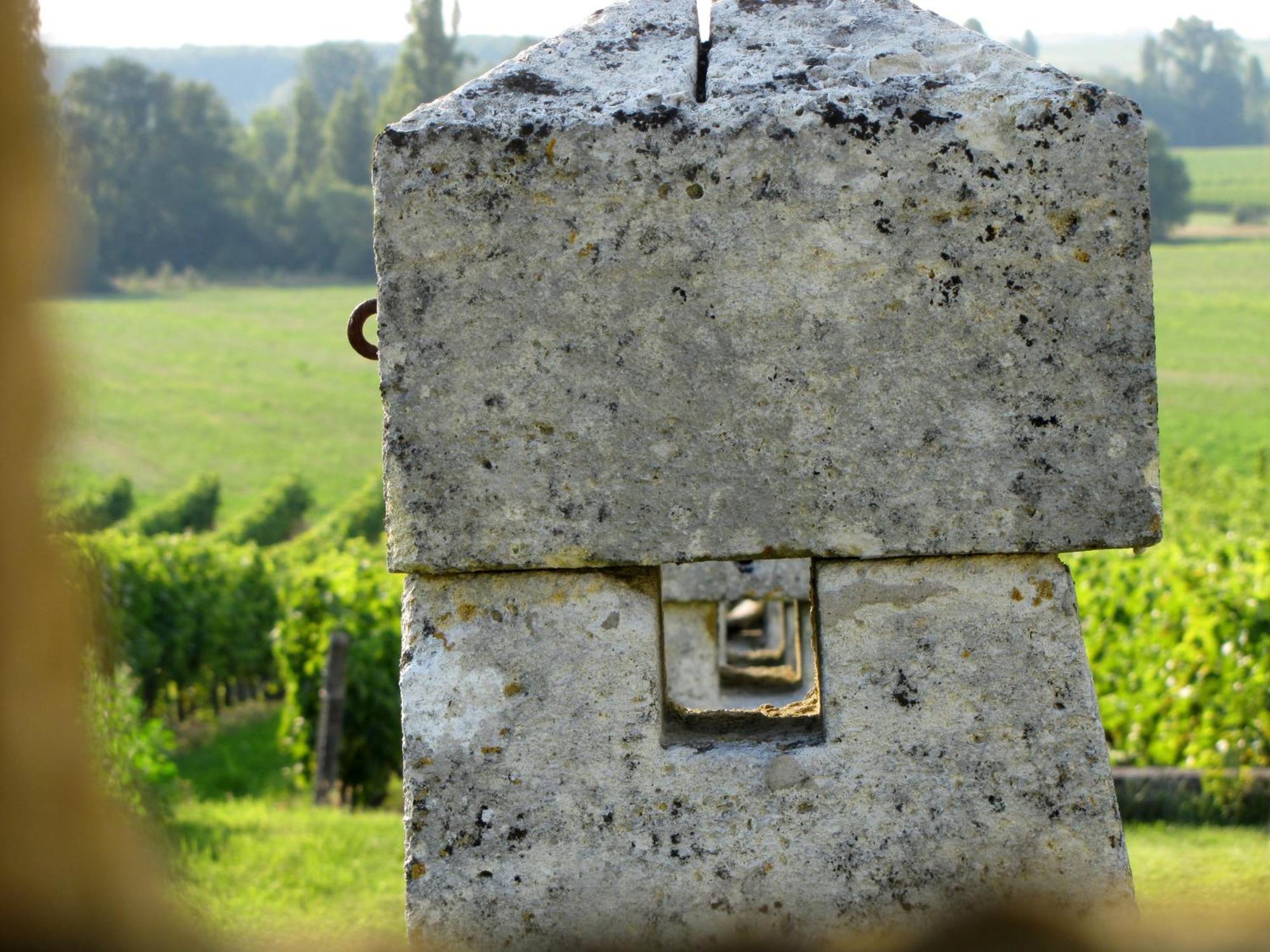 Chambre D'Hotes Clos Des Pierres Blanches Brie-sous-Archiac Εξωτερικό φωτογραφία